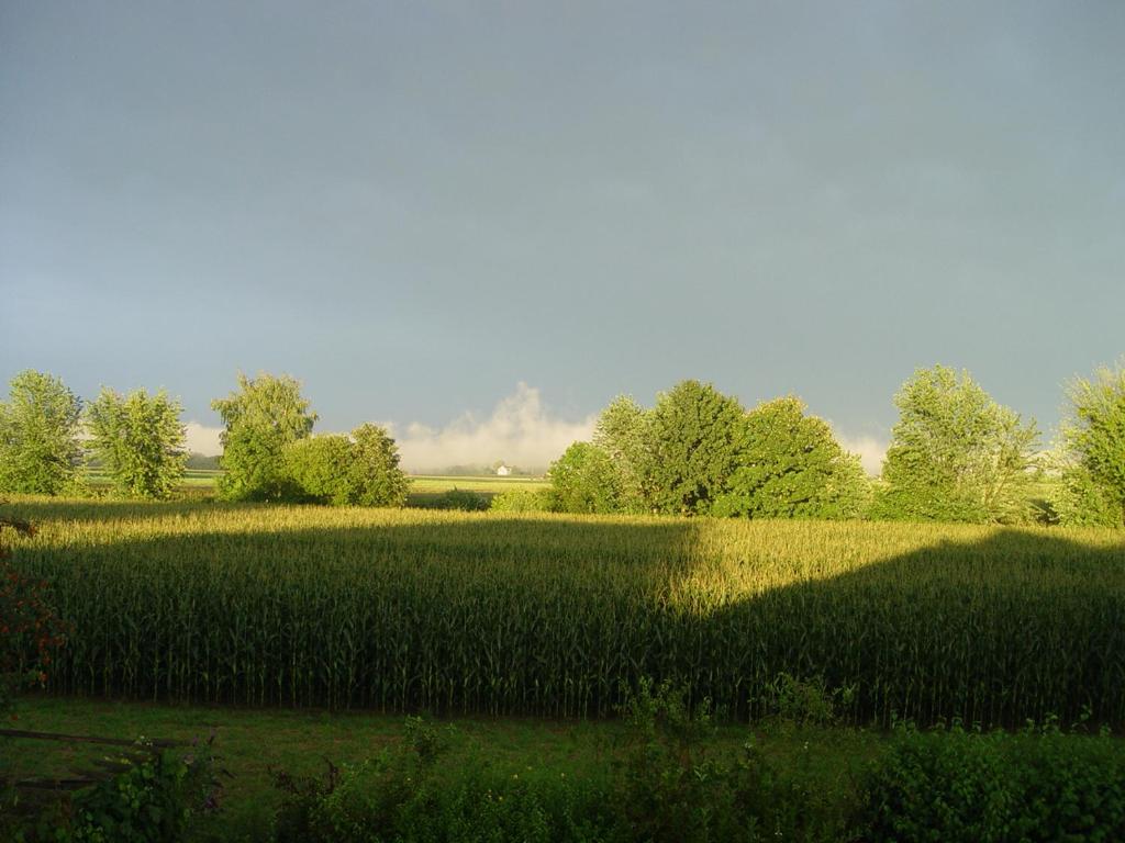 Privatzimmer mit Aussicht room 6